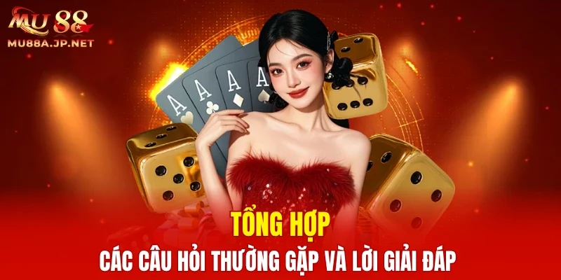 Tổng hợp các câu hỏi thường gặp và lời giải đáp